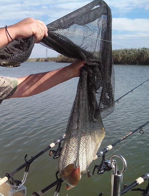 Sulina sept. 2013 - part. I - img20130918133119.jpg